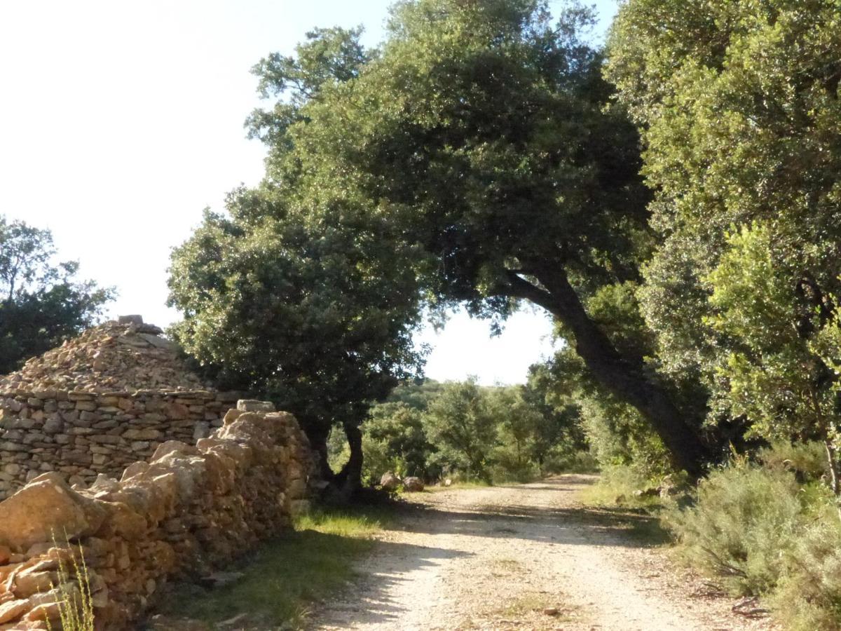 Molino Dolz La Iglesuela del Cid Exterior foto